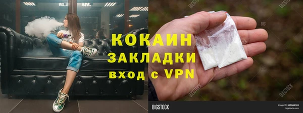 прущие грибы Белая Холуница