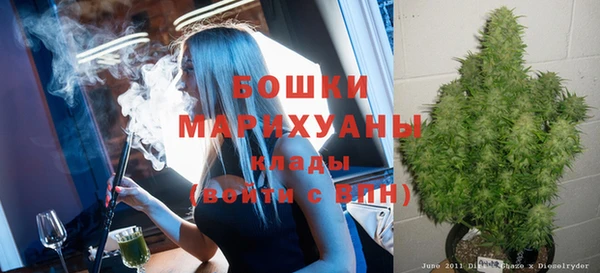 молекула духа Надым