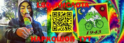 гидра Новозыбков