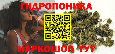 гидра Новозыбков