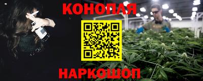 гидра Новозыбков