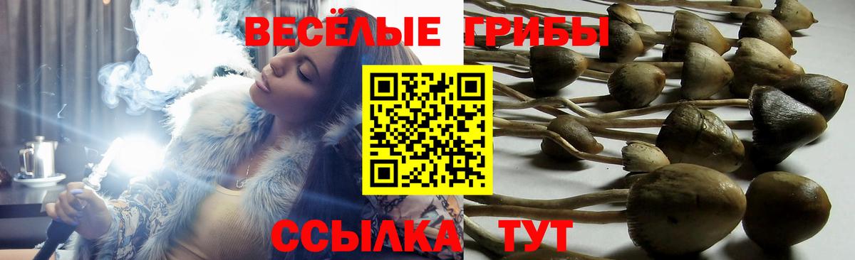 Псилоцибиновые грибы ЛСД Янаул