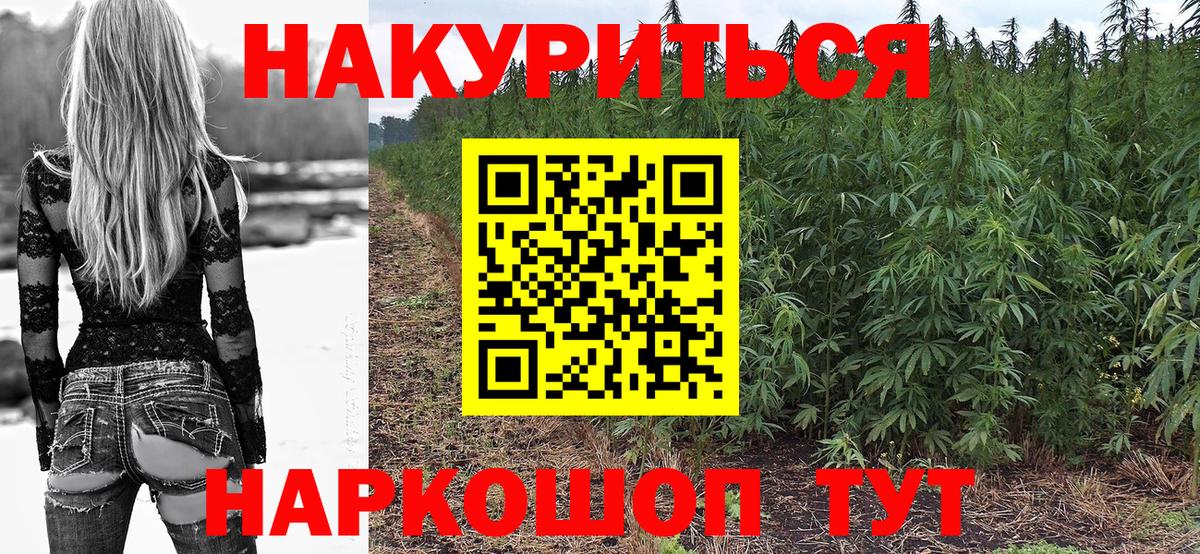 Бошки Шишки планчик Янаул